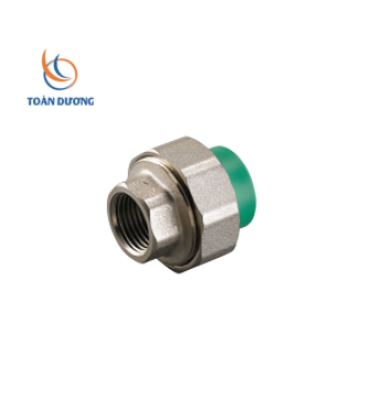 RẮC CO GIÃN REN TRONG PPR